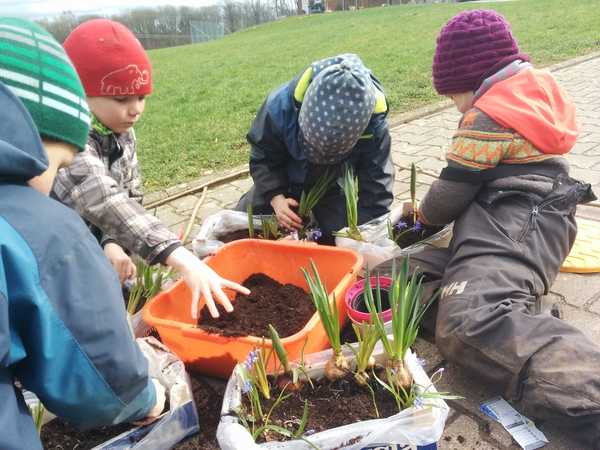 Frühlingsgarten